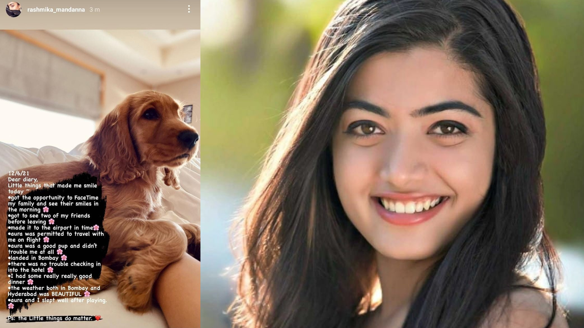 Rashmika Mandanna pens down her diary entry, says, “The Little things do matter”, Read on!