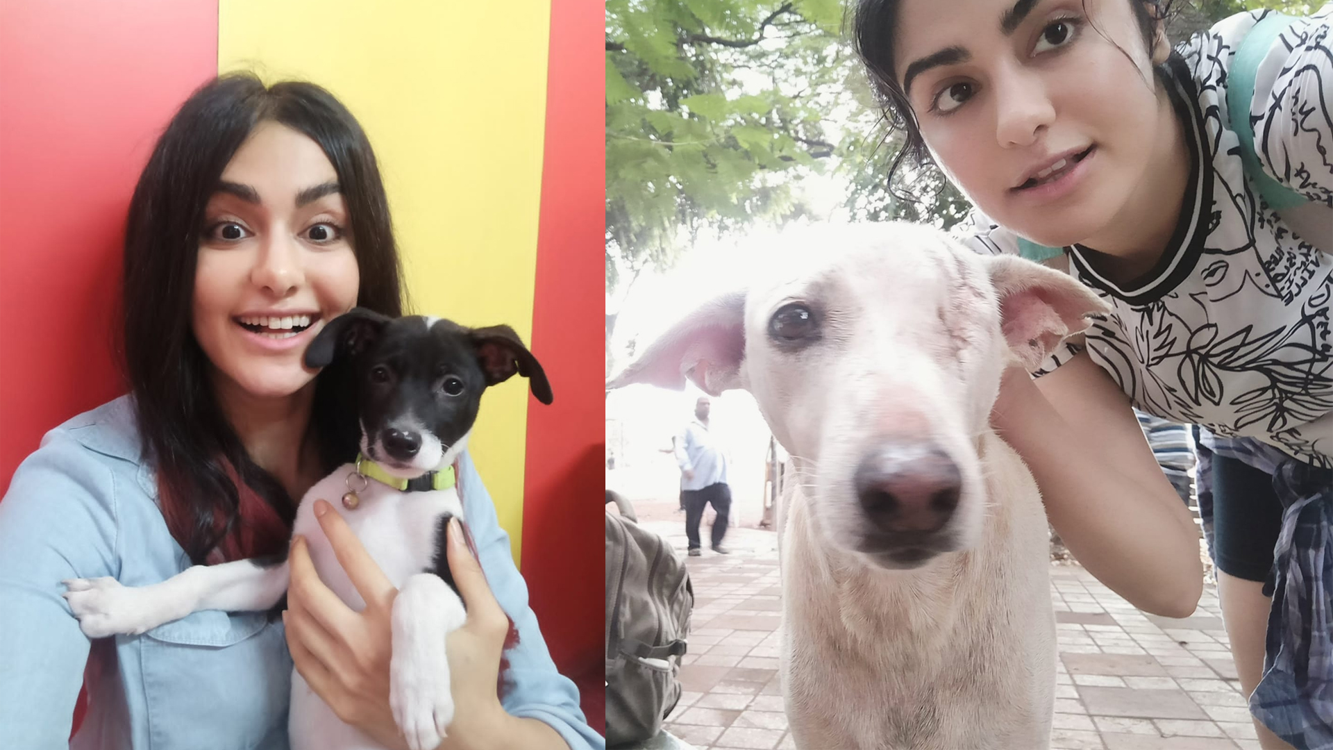 Adah Sharma says The Indian film industry is a very supportive place and shares a video of dogs she met on set !!