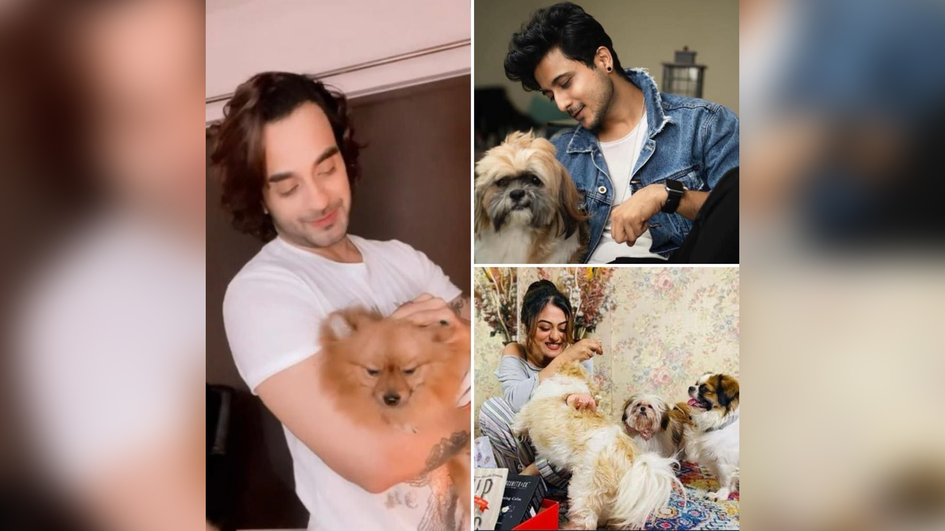 Falaq Naaz, Angad Hasija, and Mehul Vyas talk about pet-friendly Diwali!