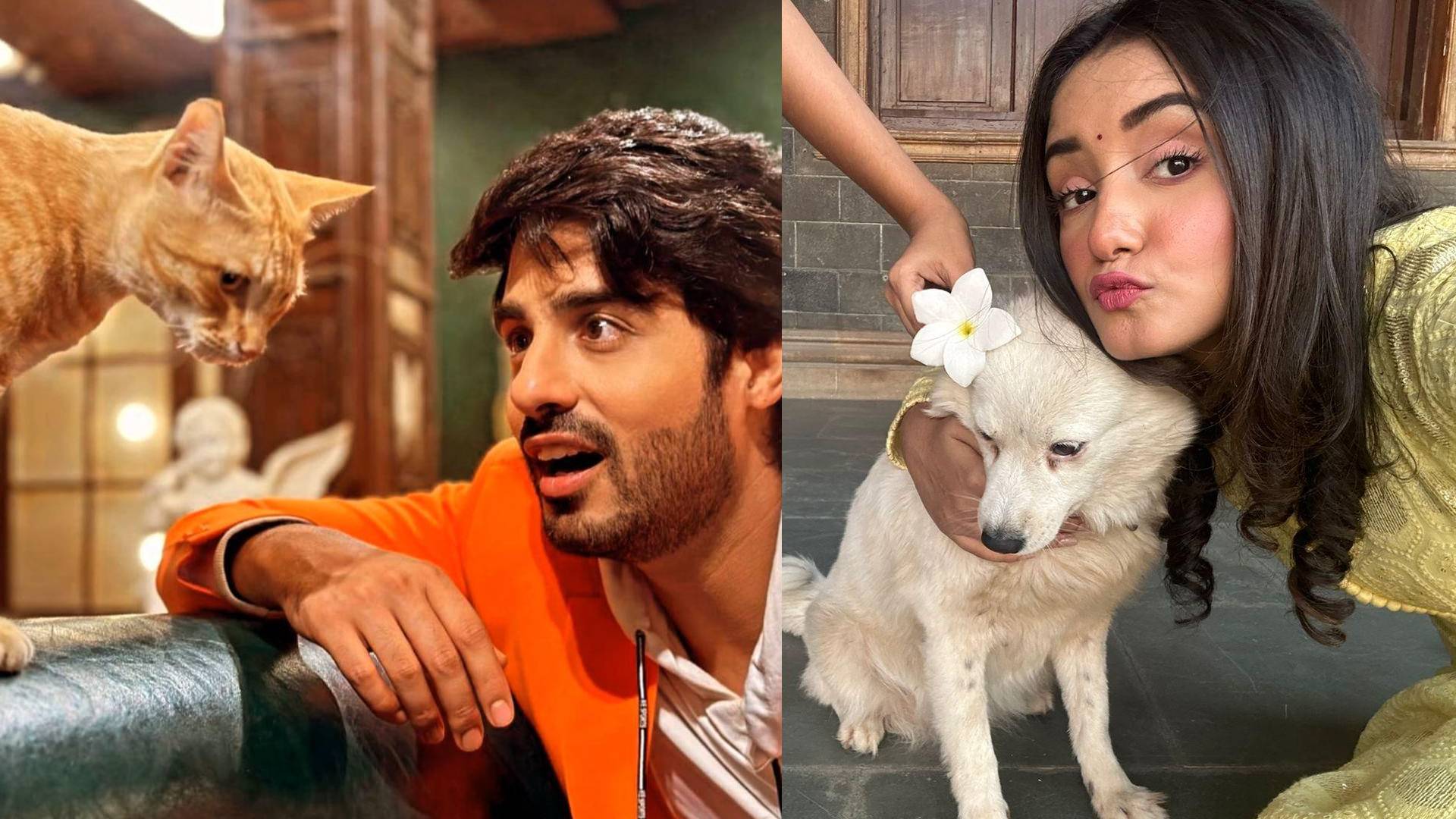 Kumkum Bhagya’s Rachi Sharma and Abrar Qazi have a soft spot for strays