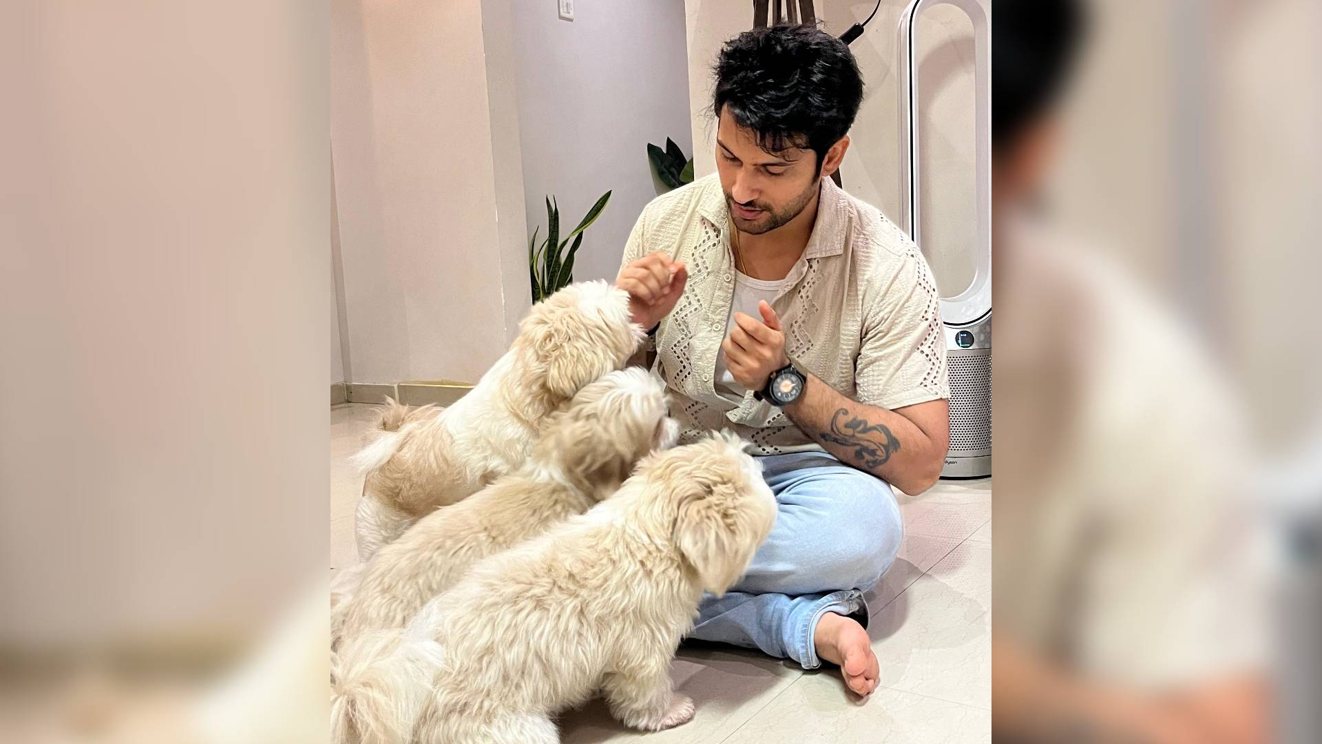 COLORS ‘Mishri’ actor Namish Taneja says, “My furry babies are my life’s sweet Mishri”