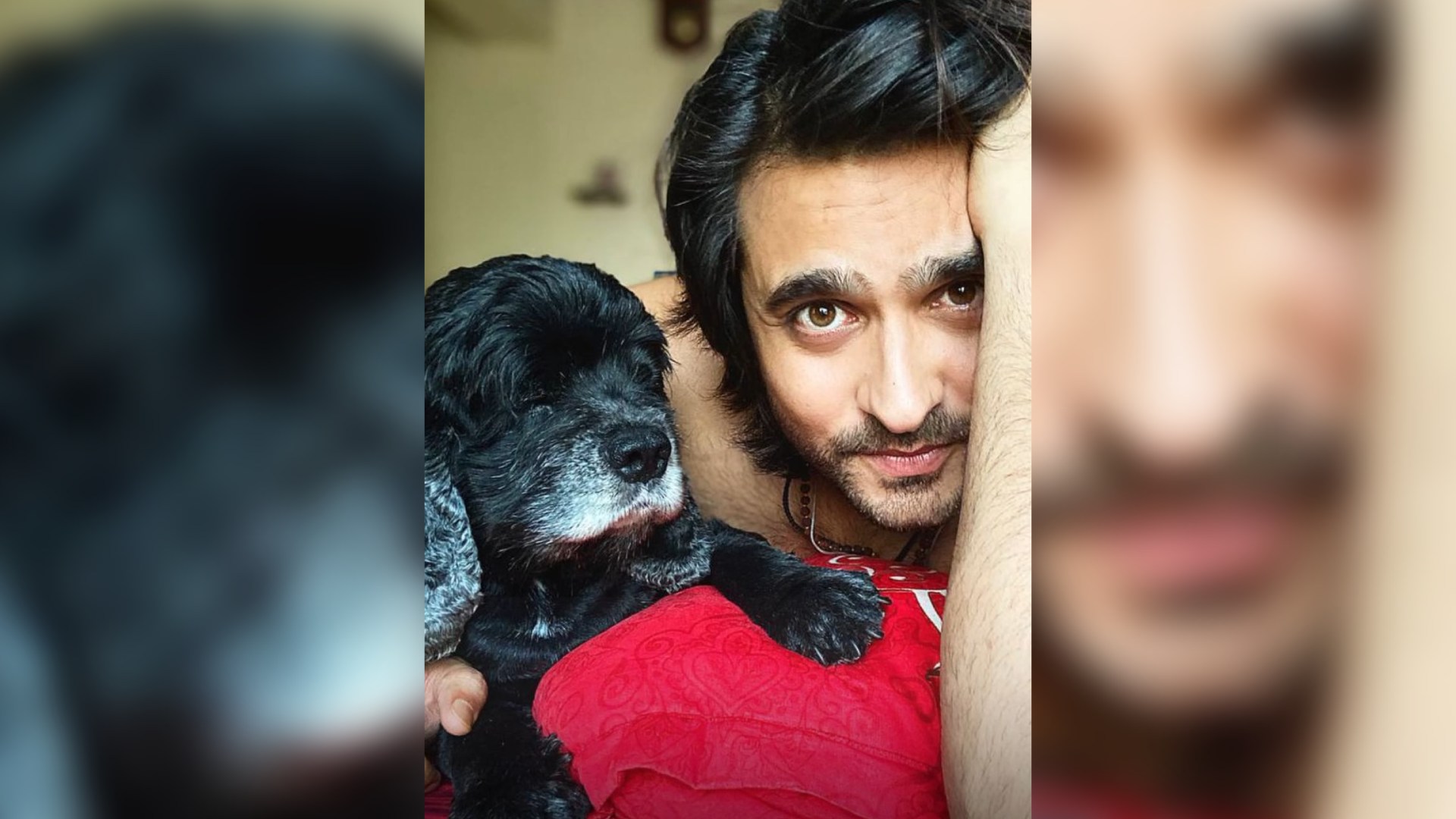 Actor Aashiesh Sharrma mourns the loss of beloved pet Carbon; says, “For 12 magical years, Carbon was more than just a pet; he was a symbol of unconditional love, loyalty, and pure joy.”