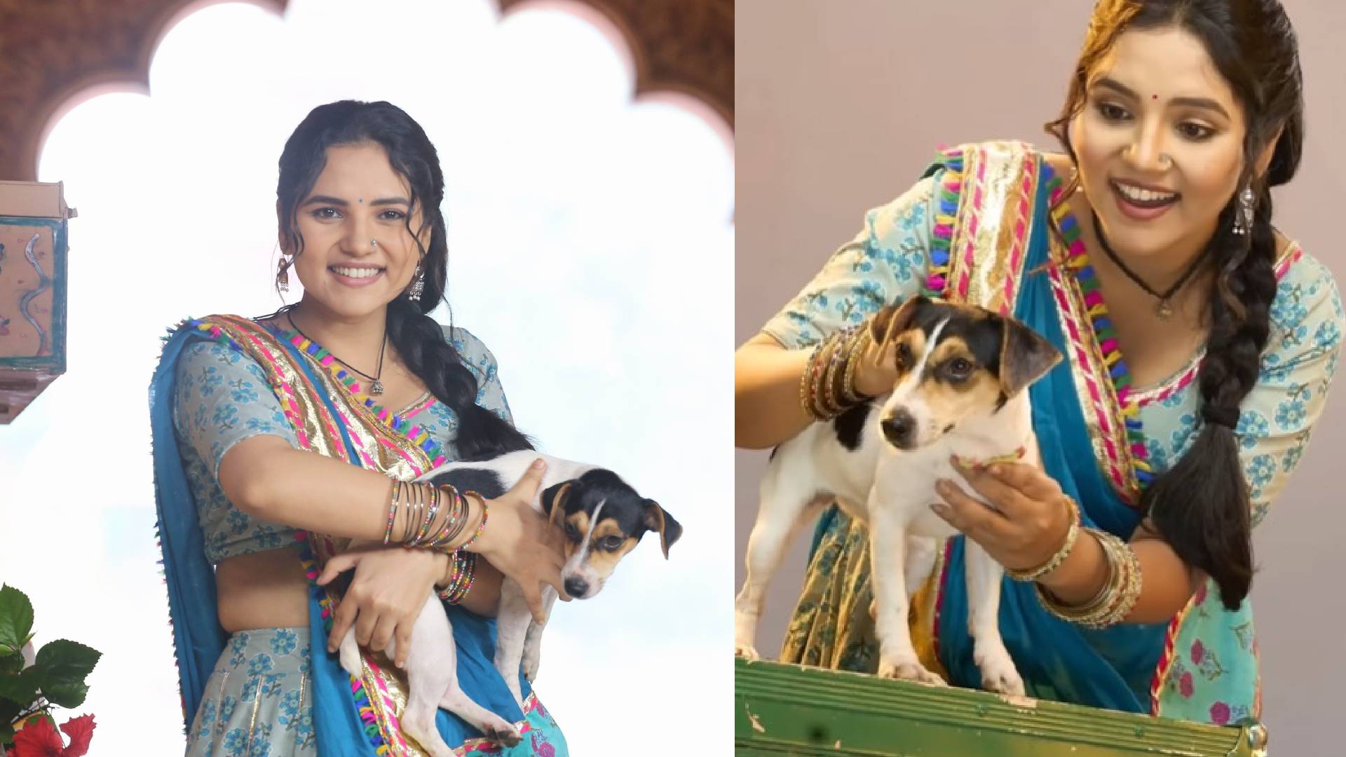 Meet Vasu’s best friend Gulki, the talking dog on Zee TV’s Vasudha