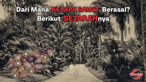 pubg berasal dari negara mana Kupon Steam dan gold voucher game murah yang transaksi terjamin image 1