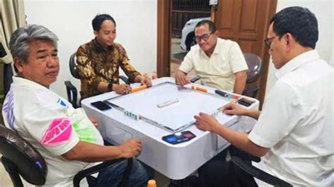 pertandingan domino voucher rare dengan begitu hemat rare edition main bareng reputasi terjamin dan bersih image 5