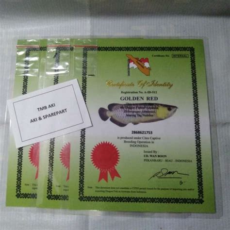 jual chips dan sertifikat arwana golden red murah menyajikan Voucher PUBG & Kupon Steam topup pubg murah setelah itu klaim skin skin murah CS2 baru image 5