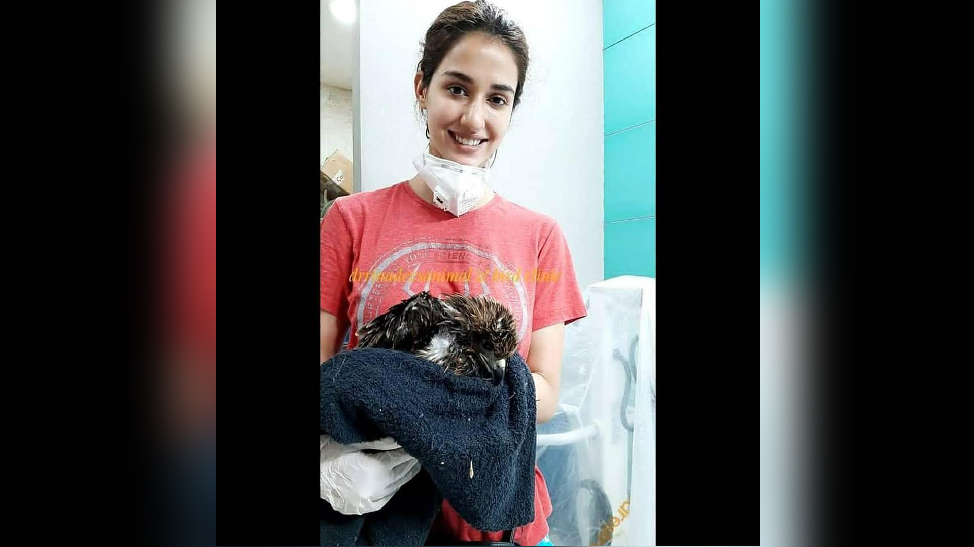 Disha Patani goes all out to rescue a bird