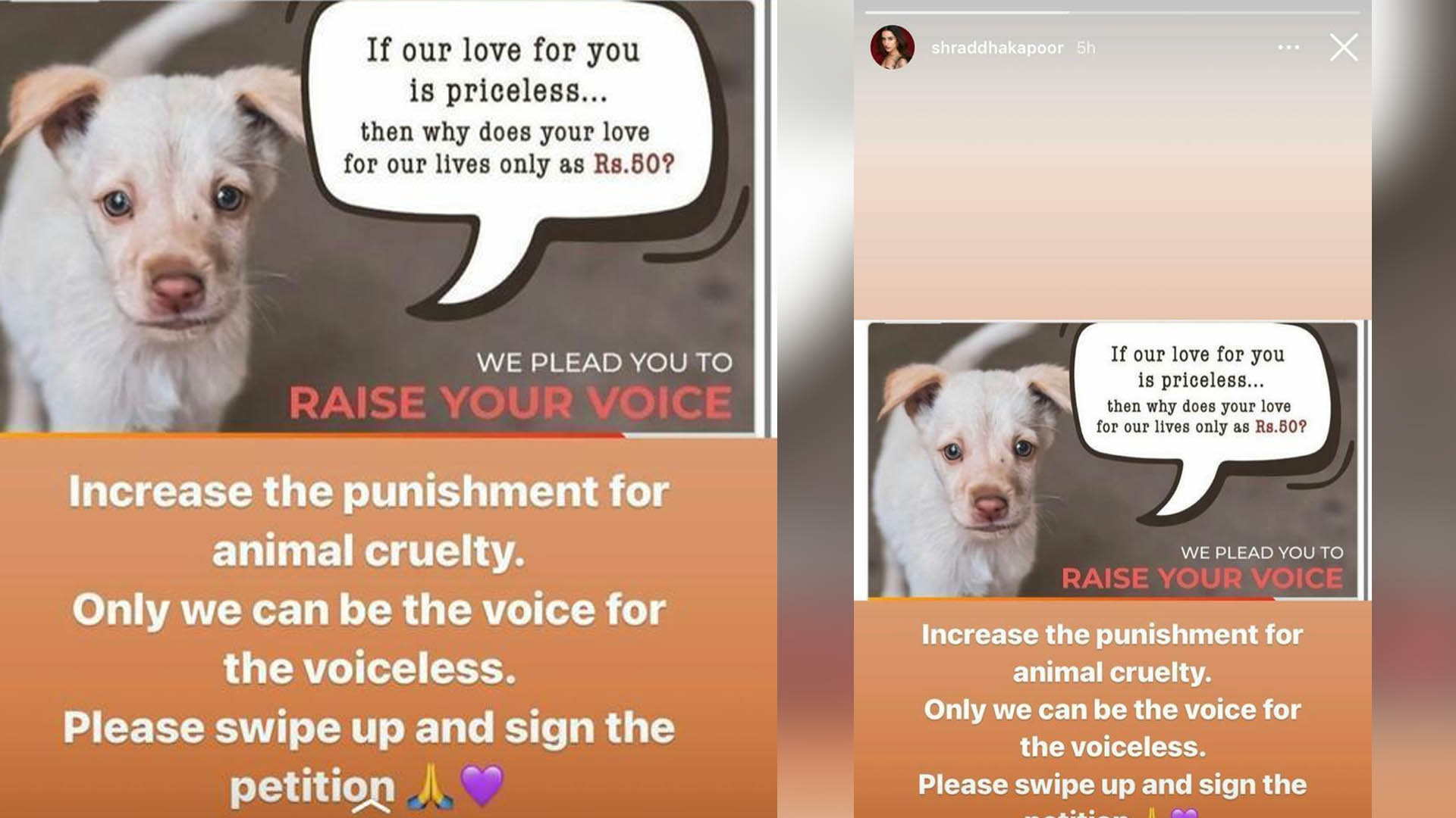 Shraddha Kapoor becomes voice of the voiceless yet again, appeals to punish people severely for mistreating animals