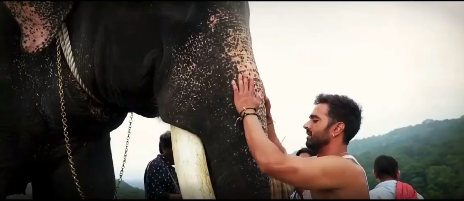 Pulkit Samrat and Unni’s BTS Video from Haathi Mere Saathi Will Surely Warm The Cockles Of Your Heart. Check it out!