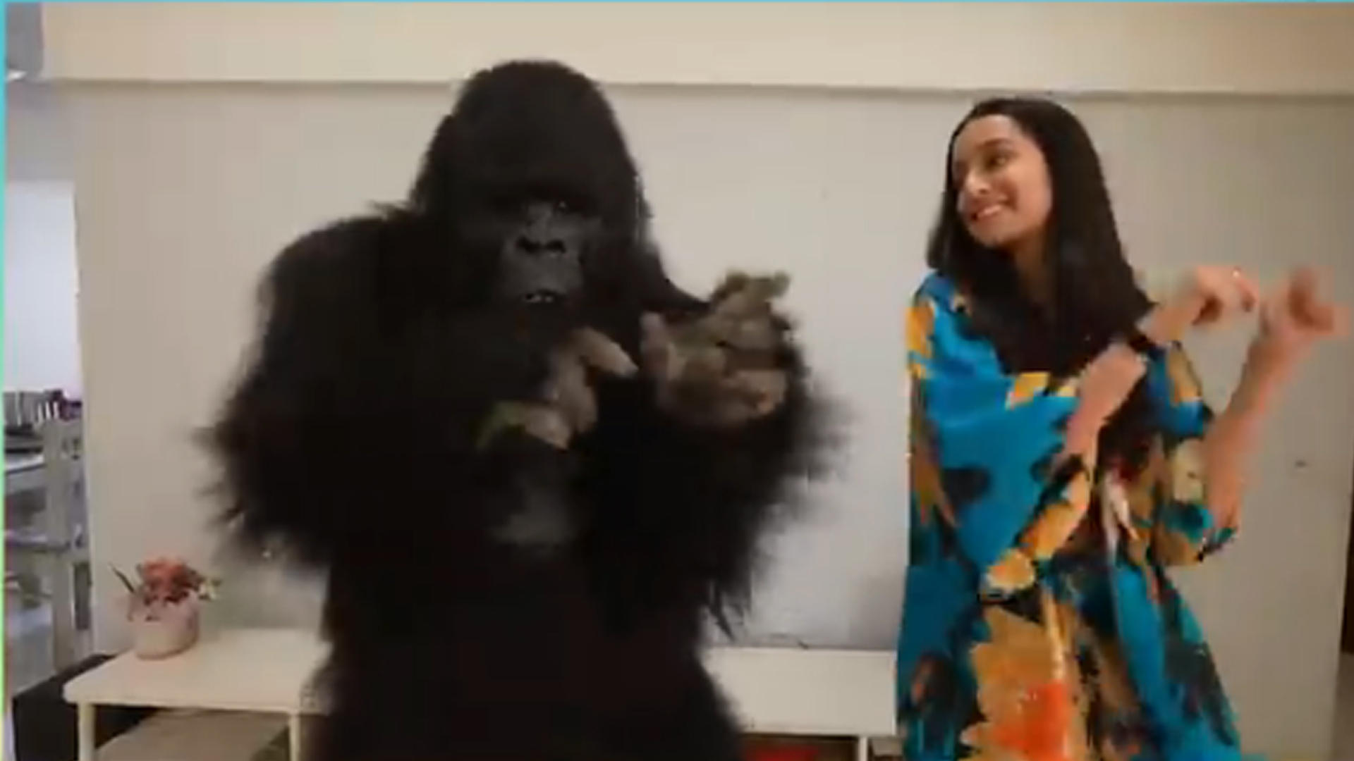 Watch! The ever so famous Gorilla, ToTo from Hello Charlie gets Shraddha Kapoor to shake a leg with him