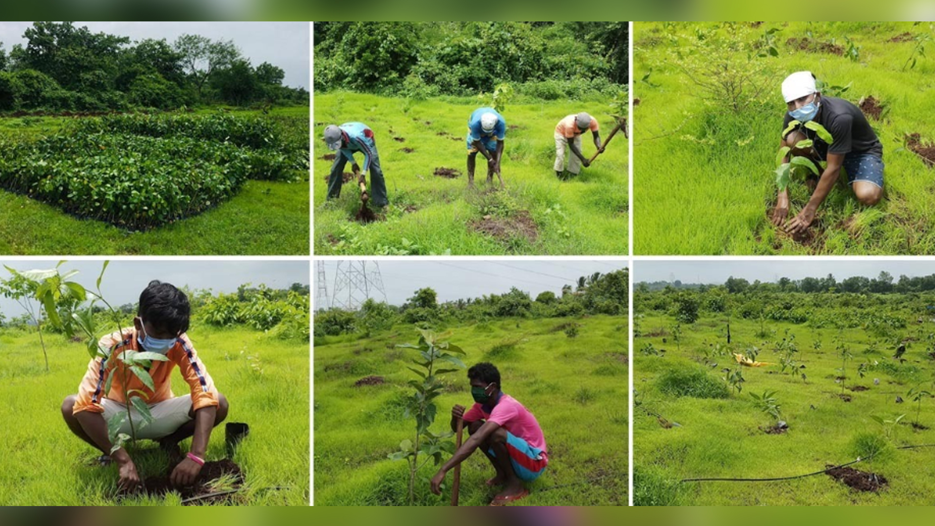 On International Day of Biological Diversity, let’s honour nature by planting variegated species of trees, say experts