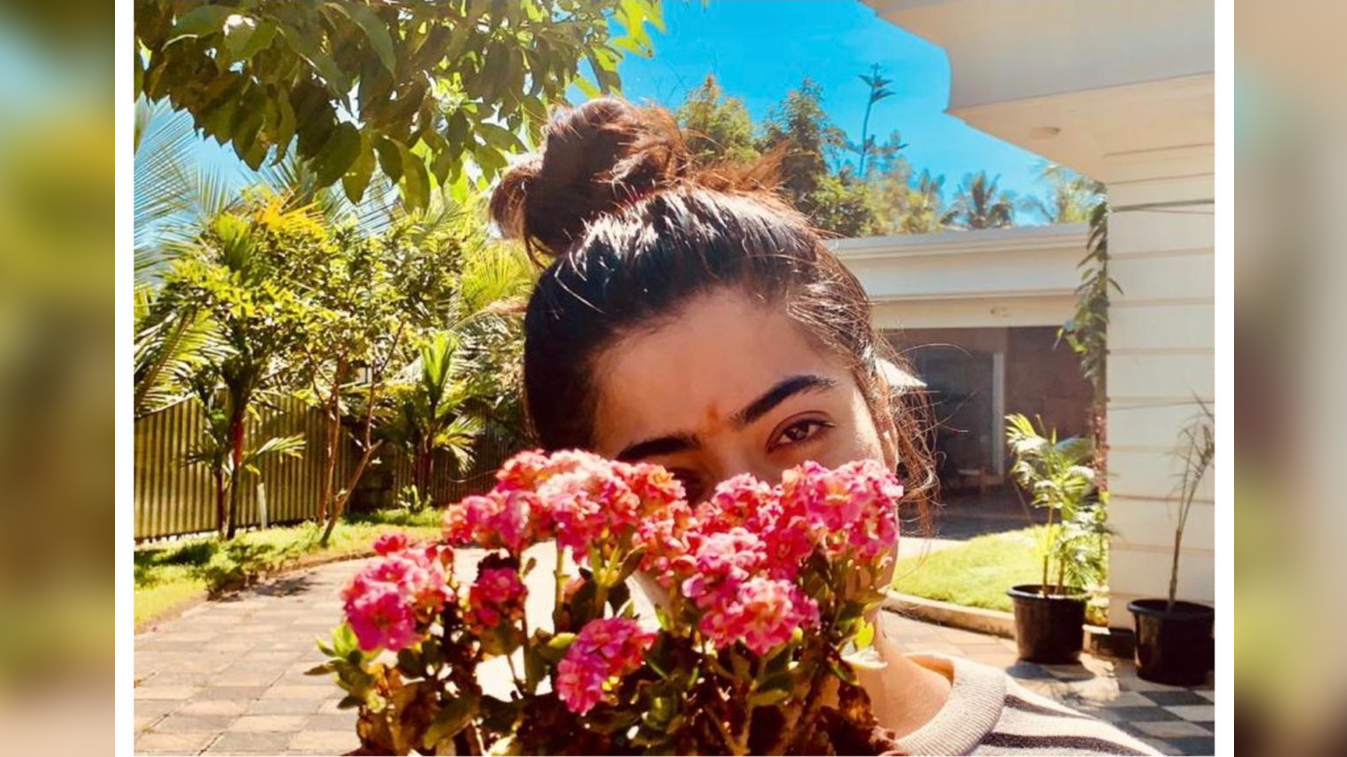 Rashmika Mandanna spreads positive cheers with flowers, see post