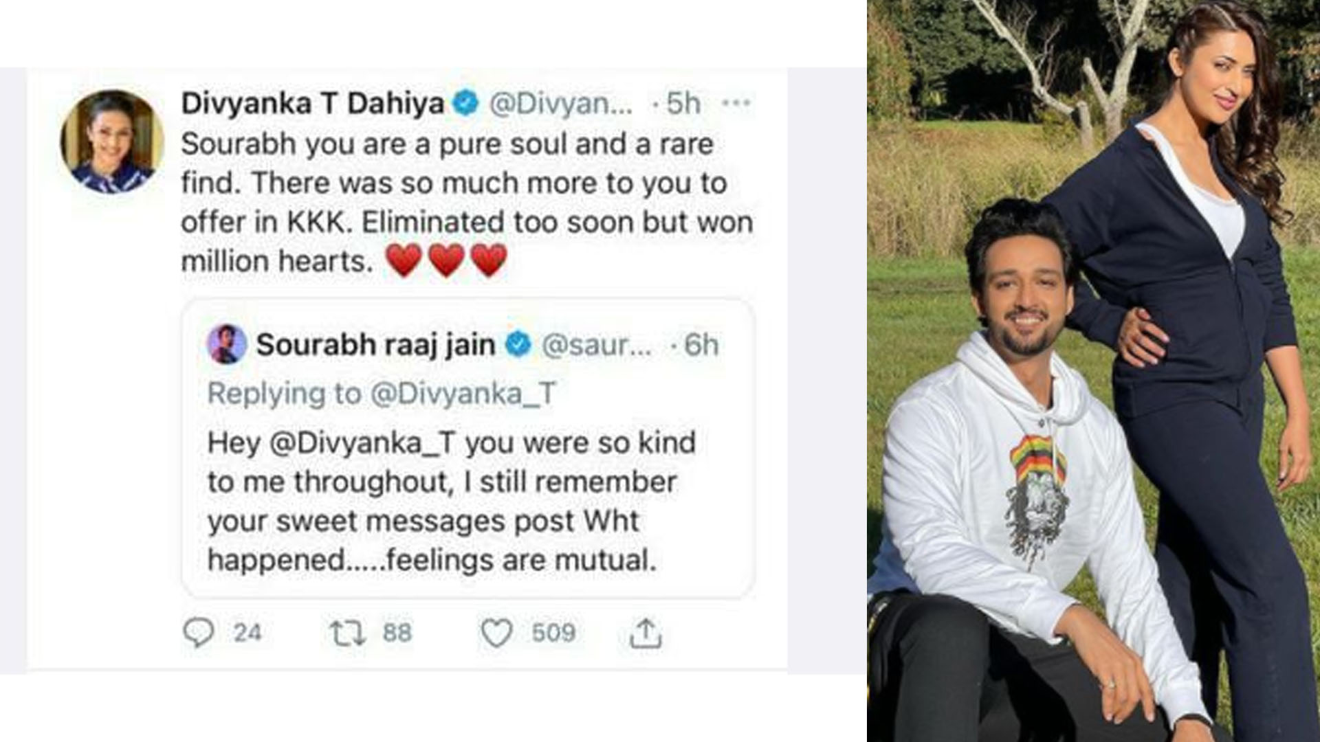 Divyanka Tripathi Dahiya comes out in support of Sourabh Raaj Jain, says he was eliminated too soon but won millions of hearts! 