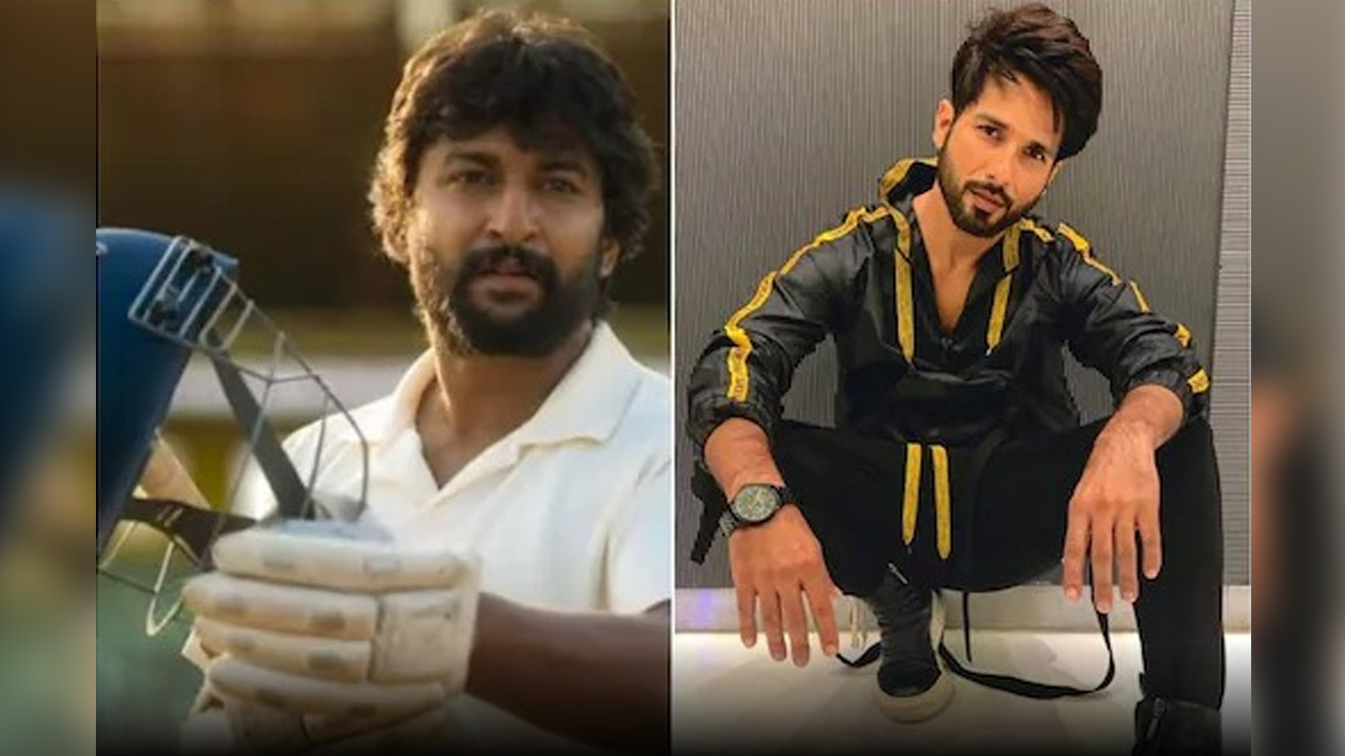 Actor Nani Is All Praises For Shahid Kapoor And His Work In Jersey