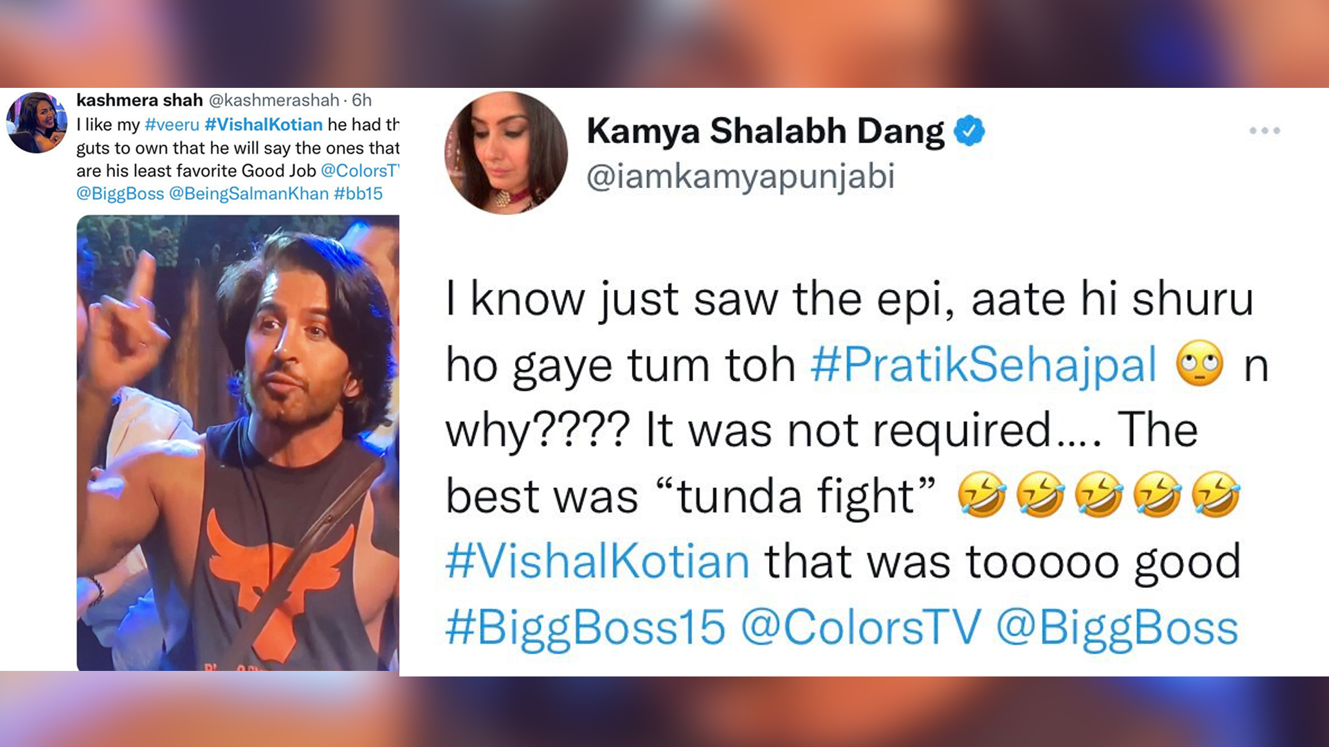 Kashmera Shah and Kamya Punjabi lauds Vishal Kotian for his commentary and straight from heart statements. Fans call him the most entertaining contestant of BB15