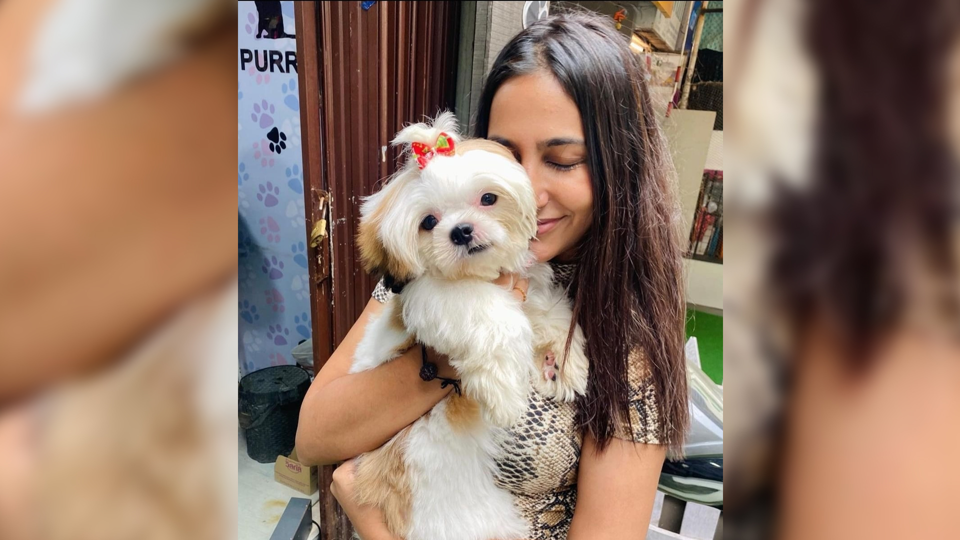 Sneha Namanandi voices for paw-safe Diwali:  Let us all think about how pets and strays get badly affected by crackers, and therefore be responsible