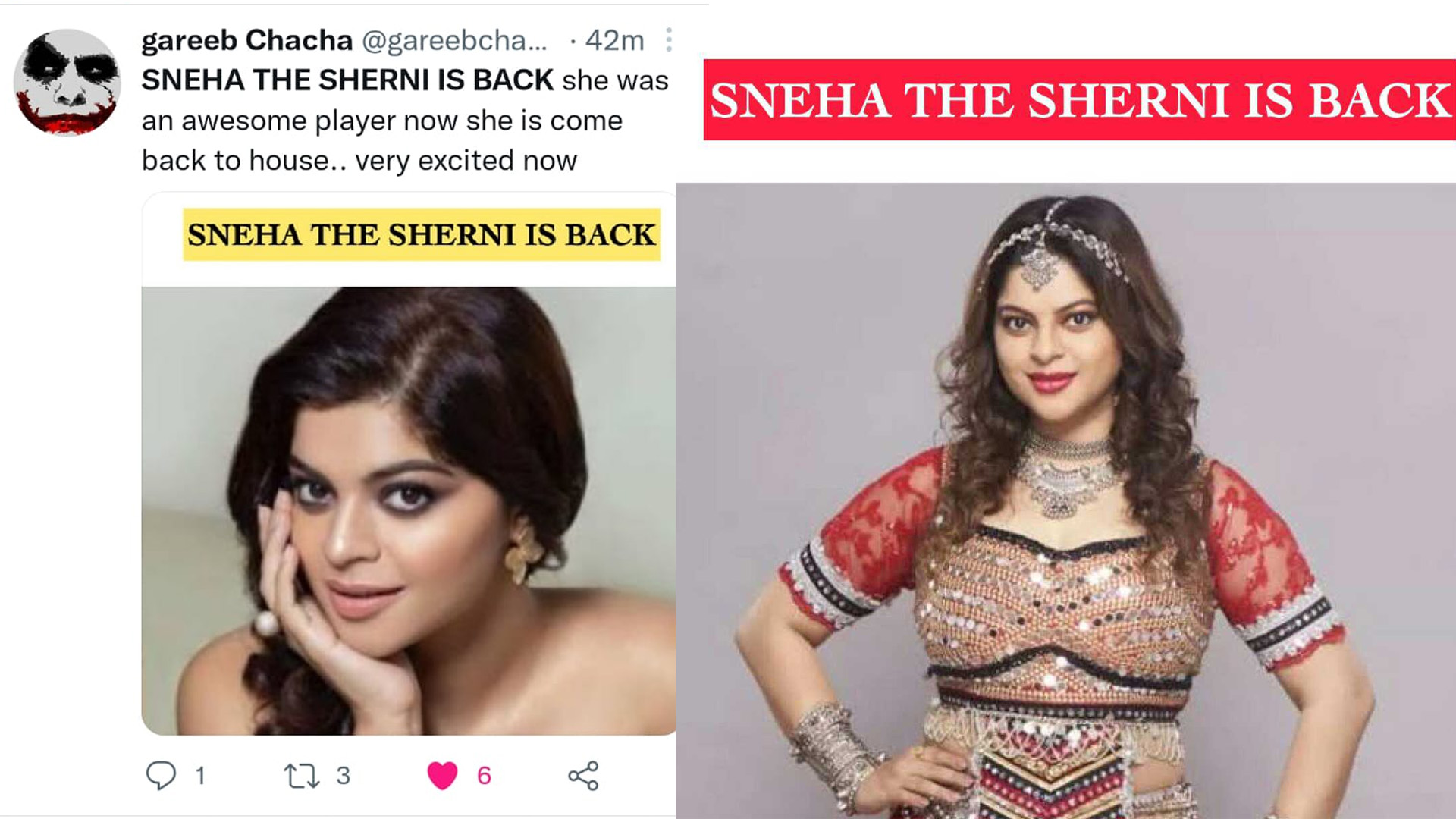 Twitterati trends SNEHA THE SHERNI IS BACK