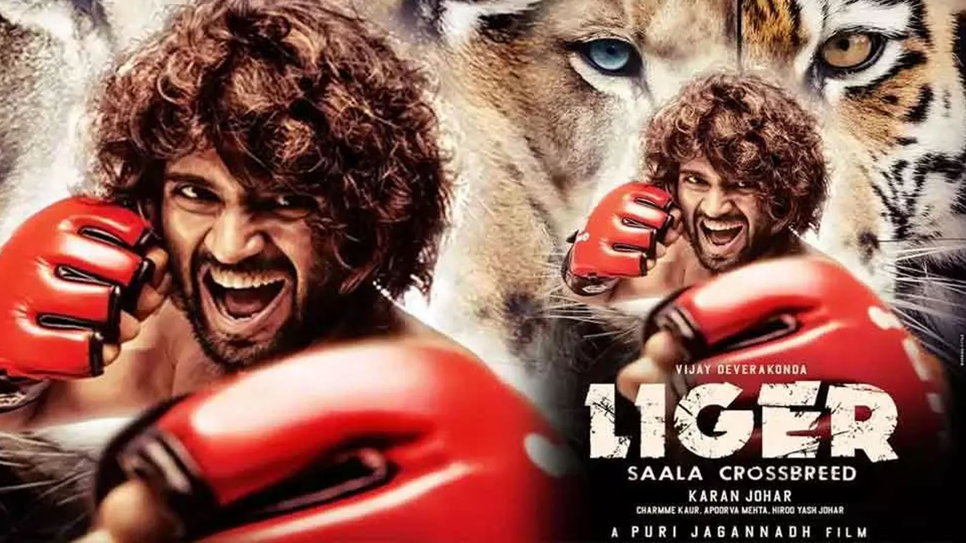 Vijay Deverakonda, Puri Jagannadh, Karan Johar, Charmme Kaur’s LIGER (Saala Crossbreed) Liger Breaks Pan India Records