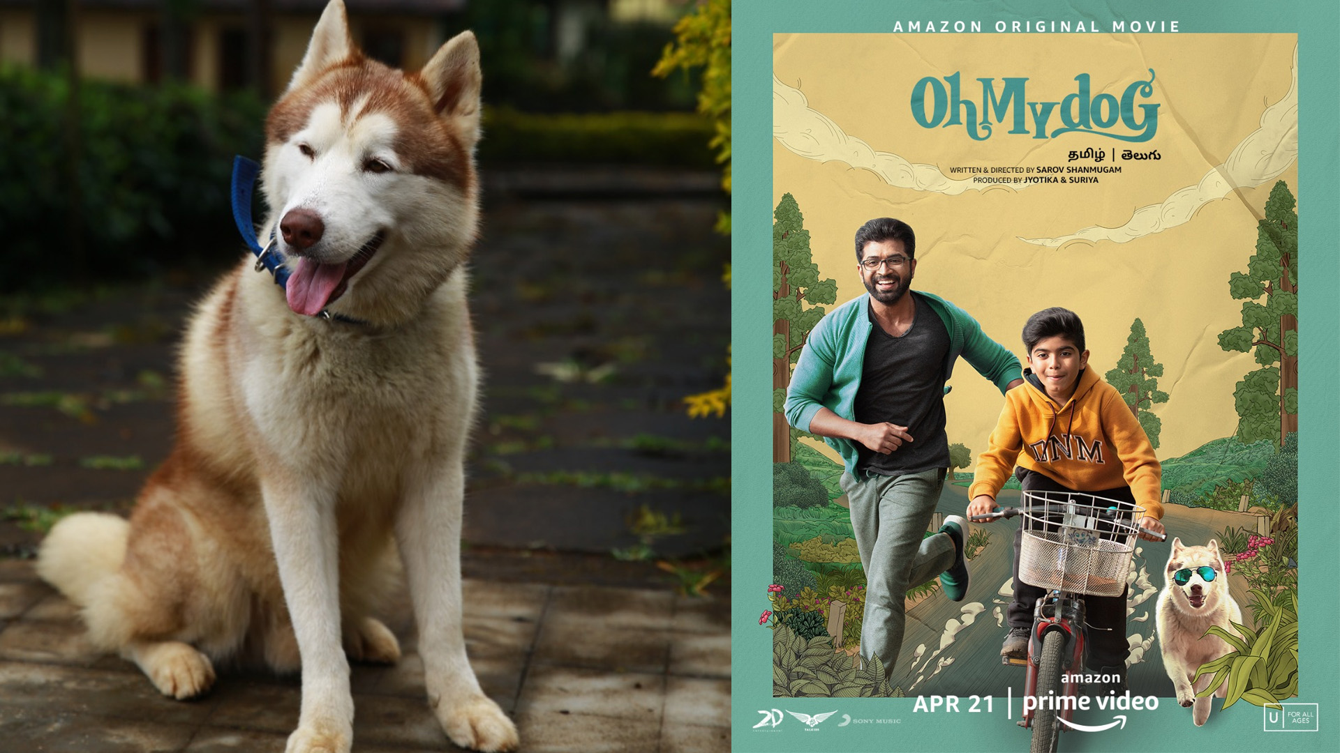 Actor Arun Vijay narrates the paw-fect experience of working with more than 100 dogs in