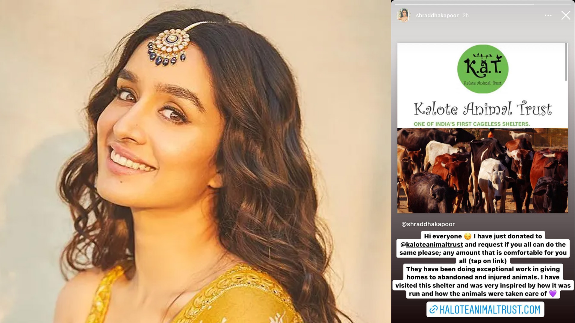 Shraddha Kapoor donates a huge sum of money to Kalote Animal Trust, requests fans to do the same