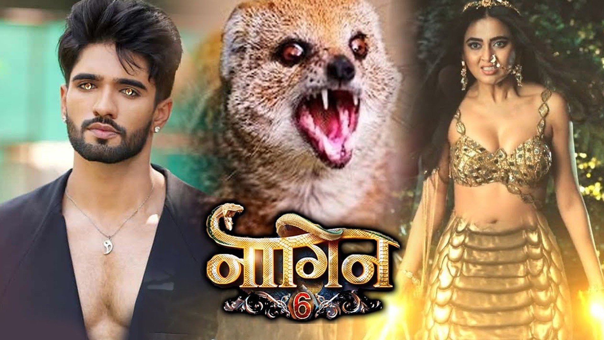 Zeeshan Khan to be seen in Naagin 6 post his eviction from the pilot season of Lock Upp!