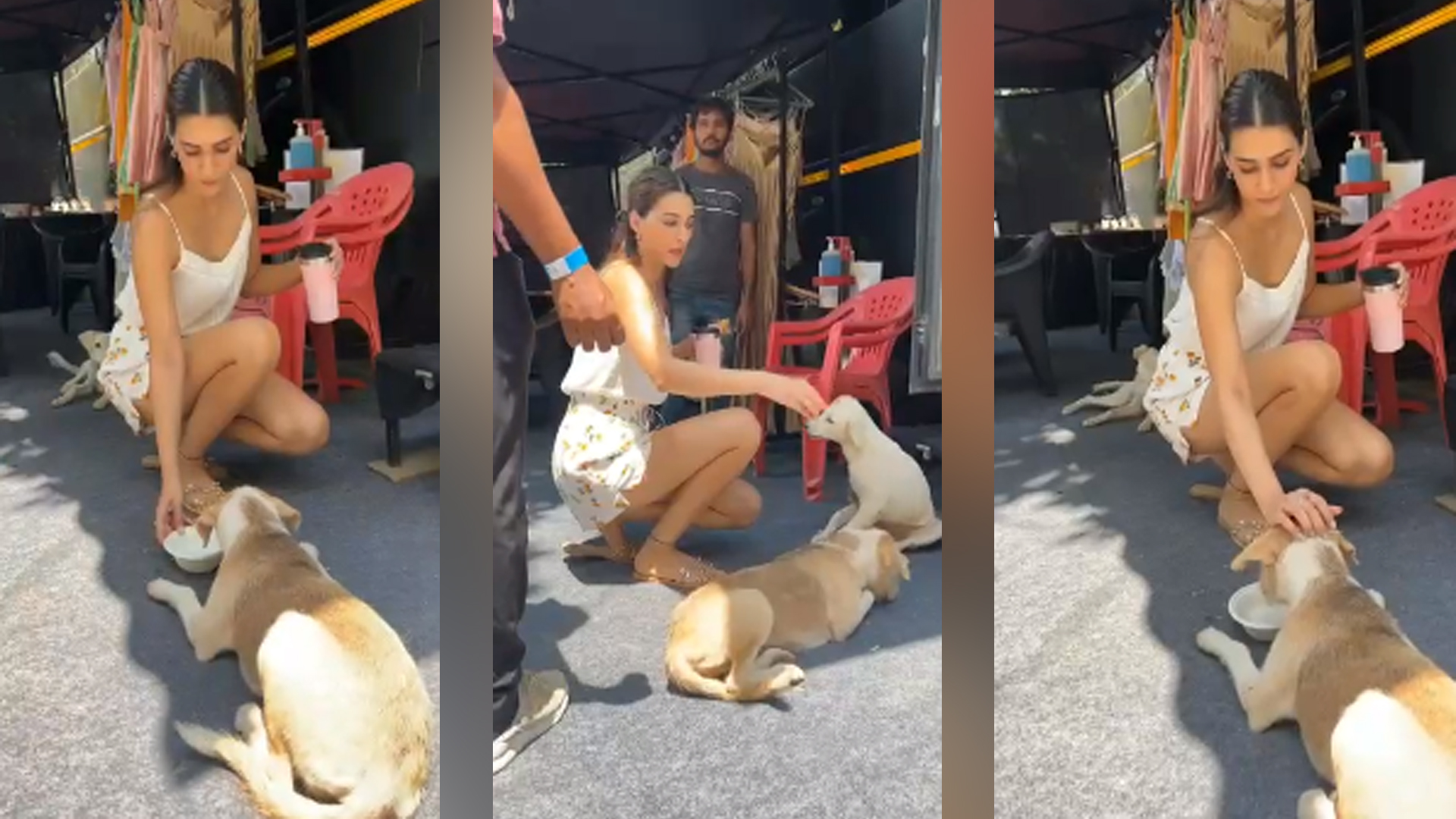 Adorable video of Kriti Sanon feeding stray dogs at a film set is breaking the internet- Check Out!