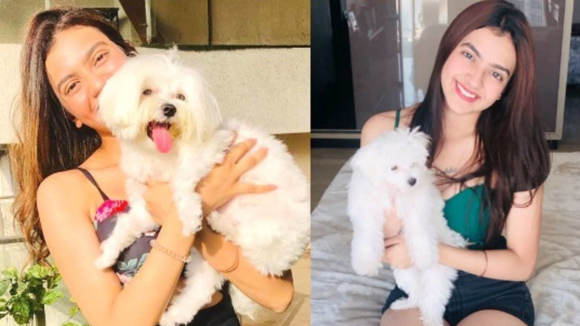 Holi 2023- Actress Kashika Kapoor shows her concern for stray animals on Holi says, “This Holi we must behave like humans and protect the strays”