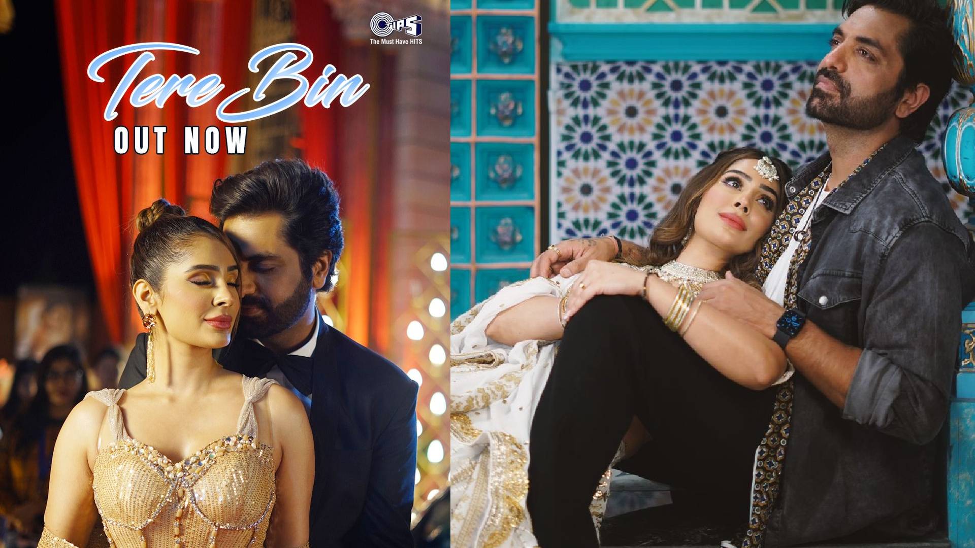 Watch: Alankrita Sahai wins the hearts of the audience with the teaser of her latest song ‘Tere Bin’, check out here