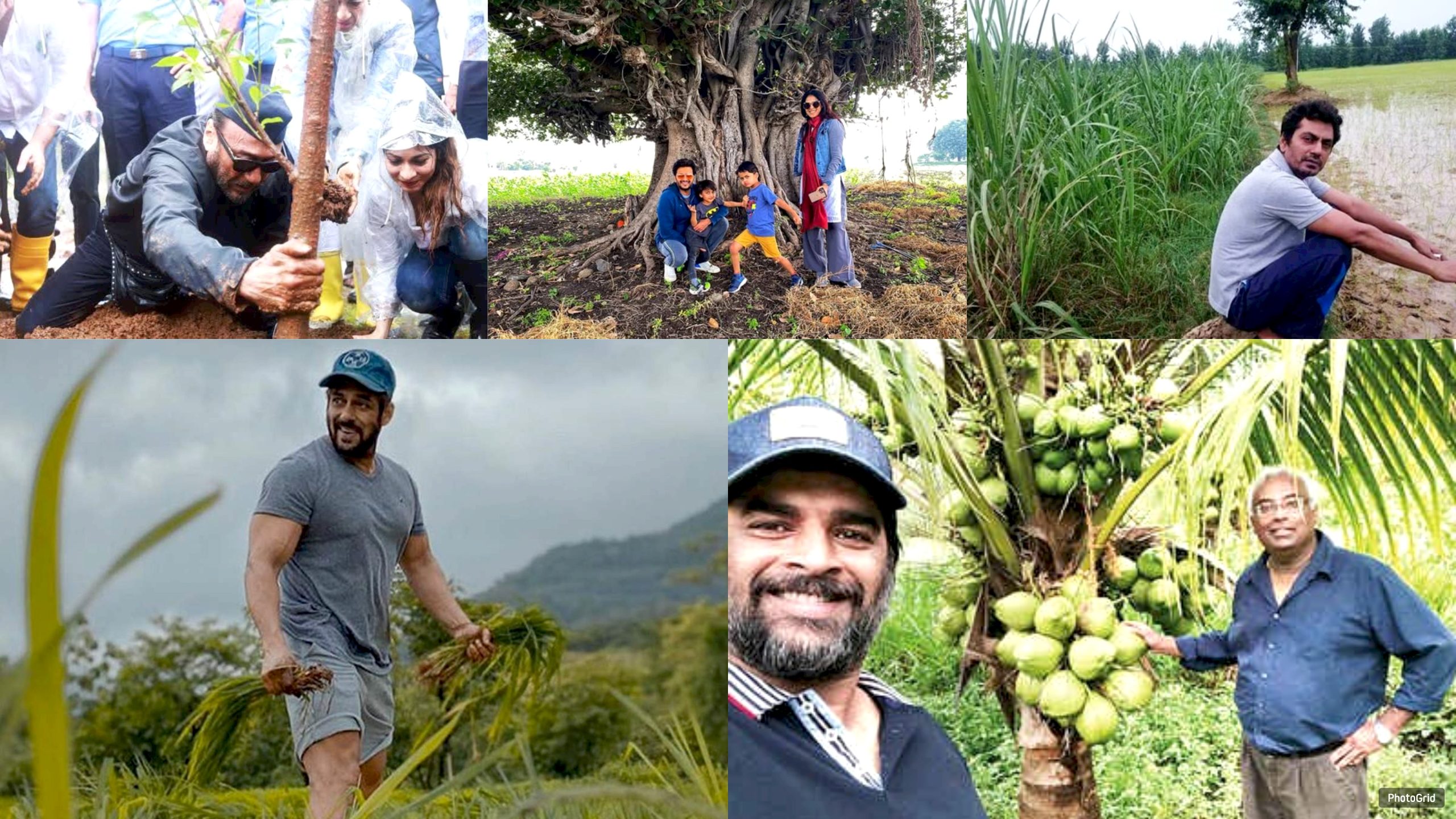 Jackie Shroff to Salman Khan: Actors who are into farming and are bound to their roots