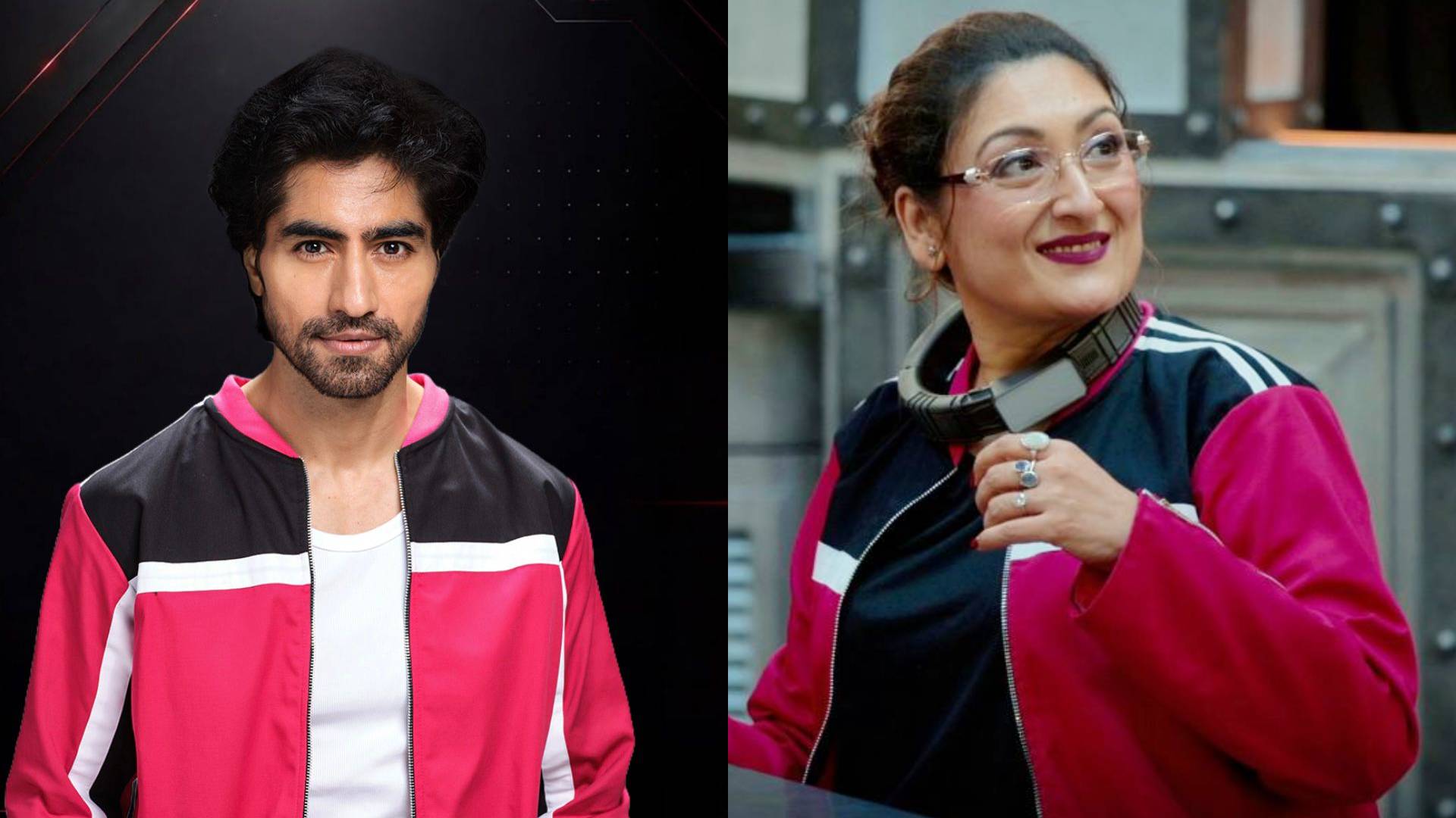 Harshad Chopda injures Sunita Ahuja?