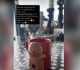 Dhvani Bhanushali Kickstarts her Midweek Morning with a Wholesome Banter with her Sister Over “Sister Cups” & It’s Too Cute for Words